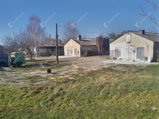 Eladó ingatlan, Szabadi