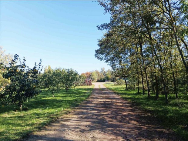 Elad� ipari, B�k�scsaba Jamina, 65000000 Ft, 1 nm 320_ph