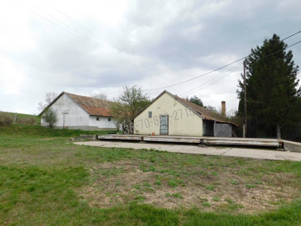 Elad� ipari, M�traderecske M�traderecske, 35000000 Ft, 330 nm 81_jh