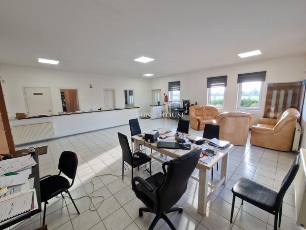 Elad� ipari, Nemesn�dudvar