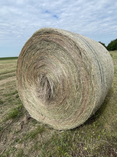 Eladó jó minőségű Széna