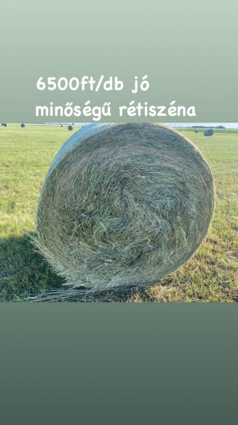 Elad j minsg Szna 