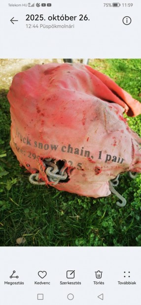 Elad kamion hlnc 295 /60