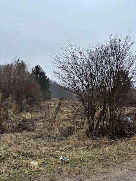 Elad� kaposv�ri z�rtkerti �p�t�si telek