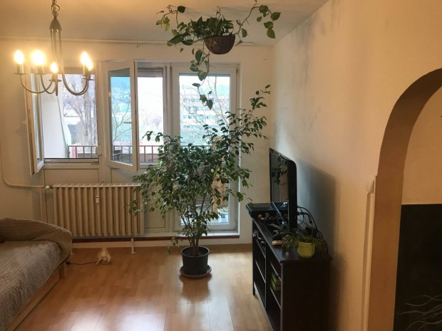 Elad� kasz�sd�l�i lak�s