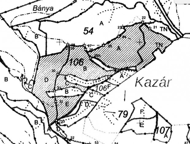 Elad� kaz�ri erd� fa�llom�ny �s ter�let egyben