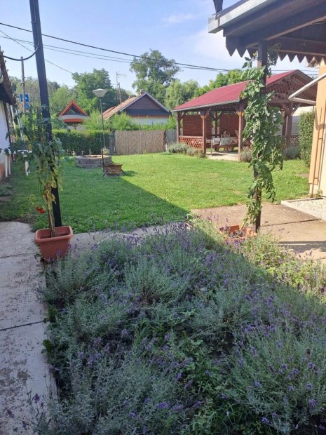 Elad� kemping �s apartmanh�zak, Ab�dszal�k