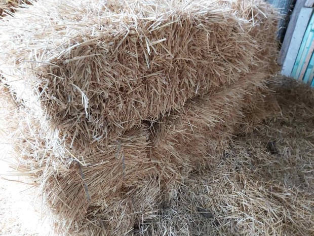 Elad� kisb�l�s szalma