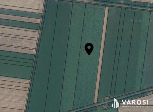 Elad� kiv�l� min�s�g� sz�nt� Nagysz�n�s k�zel�ben!