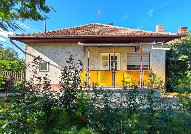 Elad� kockah�z, B�k�s frekvent�lt r�sz�n.