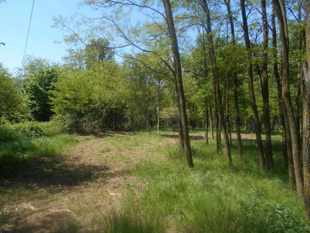 Elad� k�lter�let Badacsonytomajon