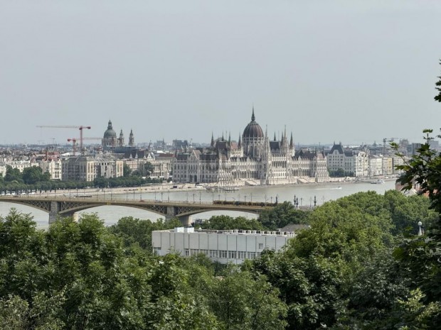 Elad laks Budapest 2. ker., Felhvz