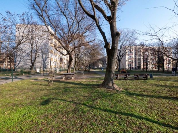 Elad laks Debrecen, Erzsbet utca