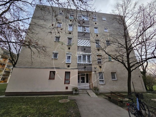 Elad� lak�s Gyul�n, a Budapest k�r�ton!