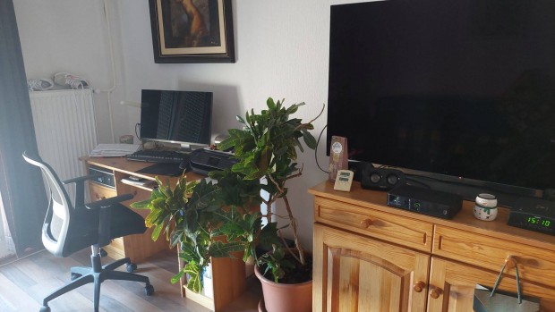 Elad� lak�s Solym�r