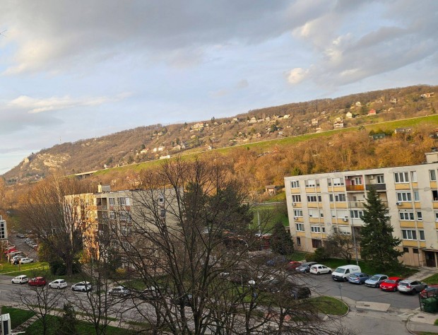 Elad laks Tatabnyn