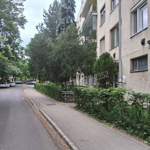 Elad laks, Bkscsaba Kazinczy-laktelep, Kazinczy laktelep 145_csa