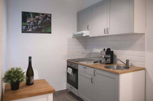 Elad� lak�s, Budapest, 7. ker�let  Erzs�betv�ros (Nagyk�r�ton  36243_v