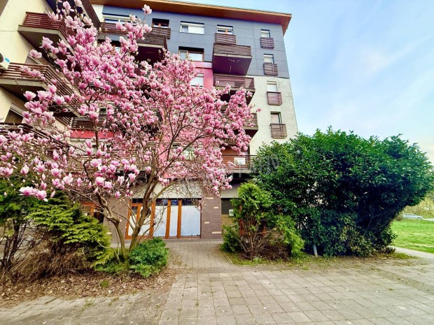 Elad� lak�s, Oroszl�ny �jv�ros, T�part utca, 50500000 Ft, 46 nm 204_tl