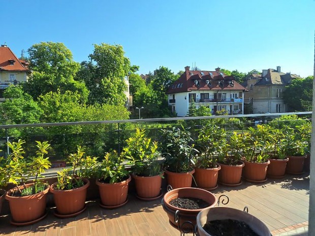 Eladó lakás - Budapest II. kerület, Rózsadomb