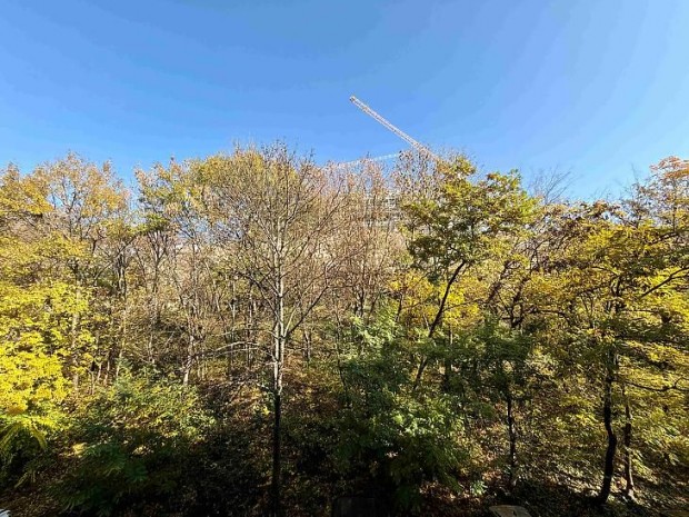 Elad� lak�s - Budapest I. ker�let, V�ralja utca