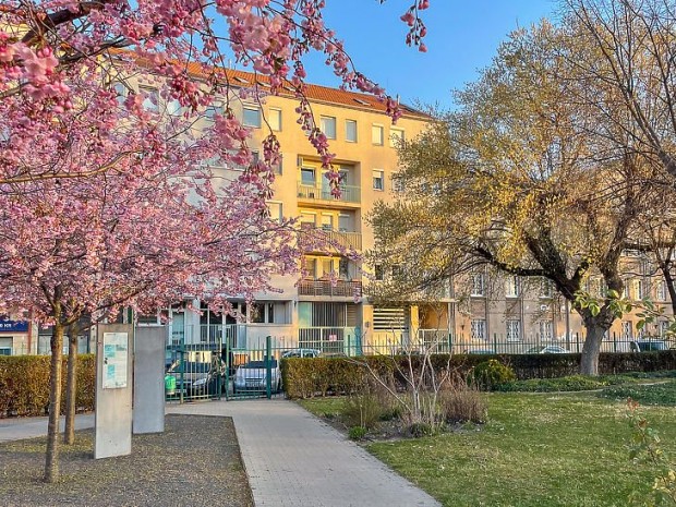 Elad� lak�s - Budapest VIII. ker�let, Teleki L�szl� t�r