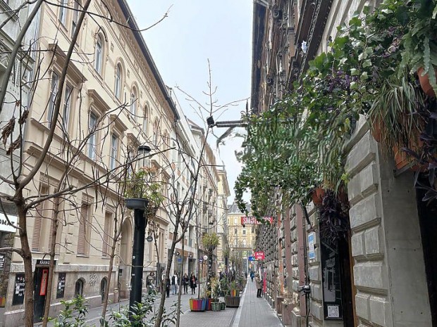 Elad� lak�s - Budapest VII. ker�let, Kazinczy utca