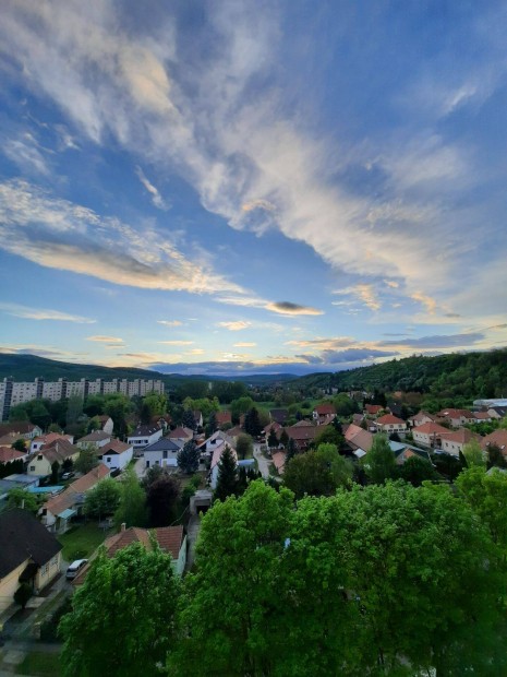 Elad� lak�s - Miskolc Di�sgy�r