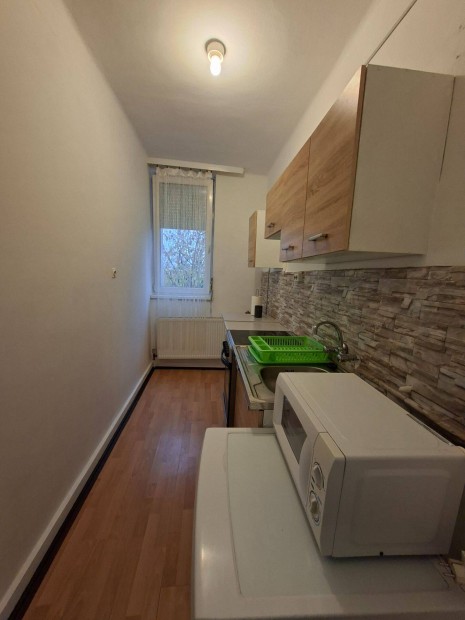 Elad� lak�s a Nagyerd�alj�n, 2 szob�s,