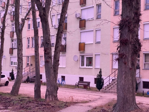 Elad� lak�s a Szal�zin