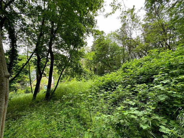 Elad� lak��vezeti telek Le�nyfalun