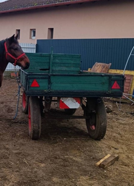 Eladó lovas szekér 260x160 elől 16 hátul 20as kerekekkel