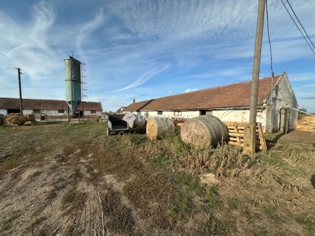 Elad� mez�gazdas�gi, Mez�kom�rom