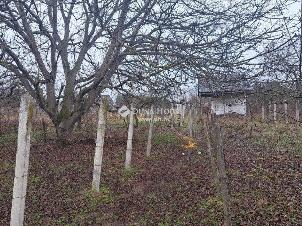Eladó mezőgazdasági, Monor