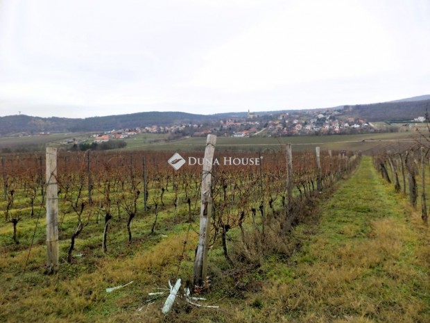 Elad� mez�gazdas�gi, Nadap