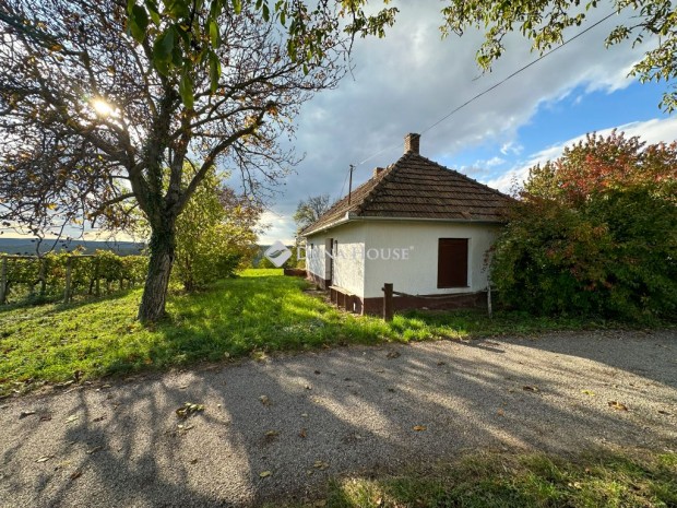 Elad� mez�gazdas�gi, Nagyrada