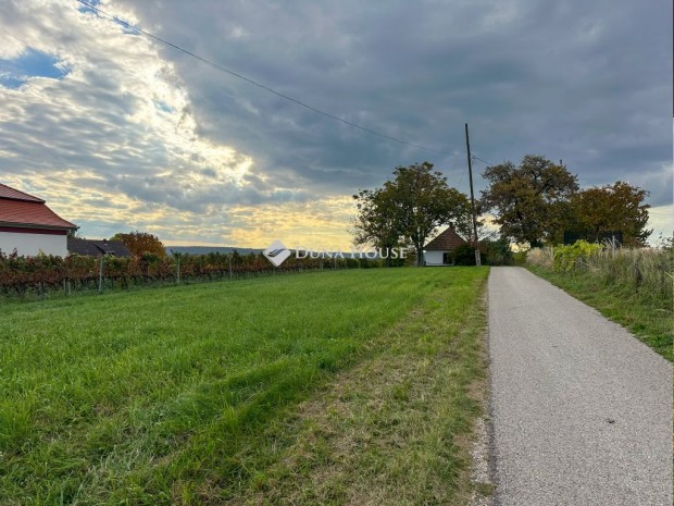 Elad� mez�gazdas�gi, Nagyrada