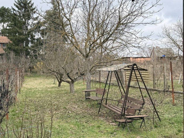 Elad� mez�gazdas�gi, Oroszl�ny, 6900000 Ft, 1044 nm 217_tl