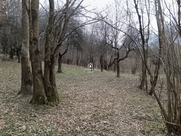 Elad� mez�gazdas�gi, Pusztamagyar�d Pusztamagyar�d, 8000000 Ft, 72_jin