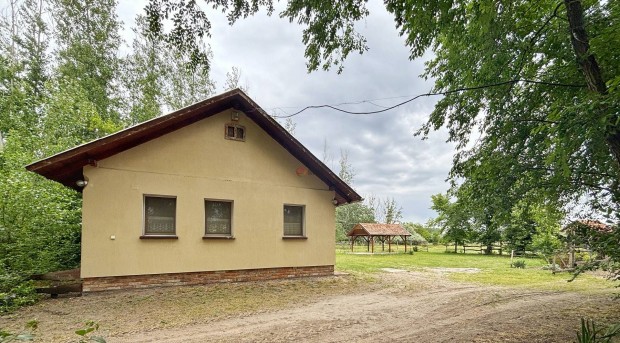 Elad� mez�gazdas�gi, Szatymaz Szatymaz, 54900000 Ft, 107 nm 43_fwh