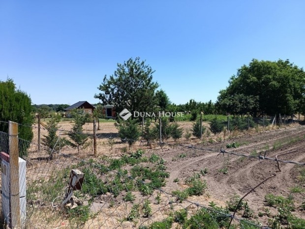 Elad� mez�gazdas�gi, Szeged