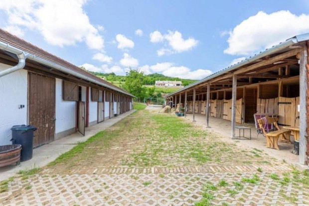 Elad� mez�gazdas�gi, Szeksz�rd, 72000000 Ft, 350 nm 997_sri