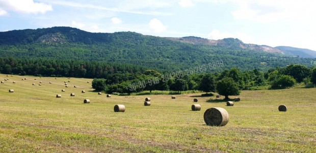 Elad� mez�gazdas�gi, V�c Sejce, 450000000 Ft, 144953 nm 1886_pl