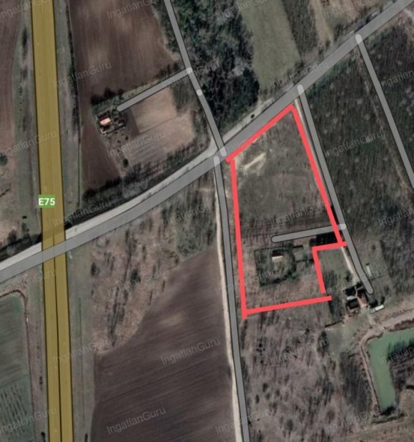 Elad� mez�gazdas�gi ingatlan Kunsz�ll�s