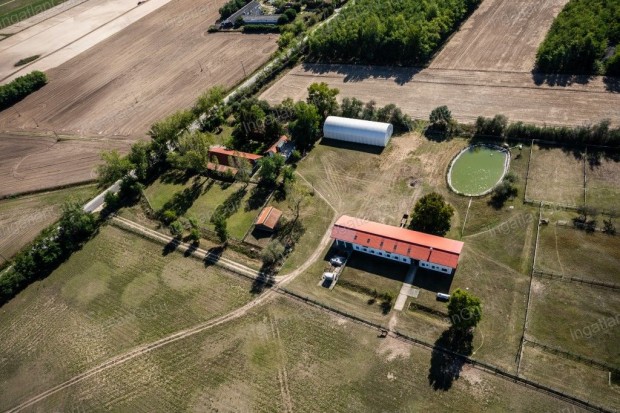 Eladó mezőgazdasági ingatlan Lajosmizse