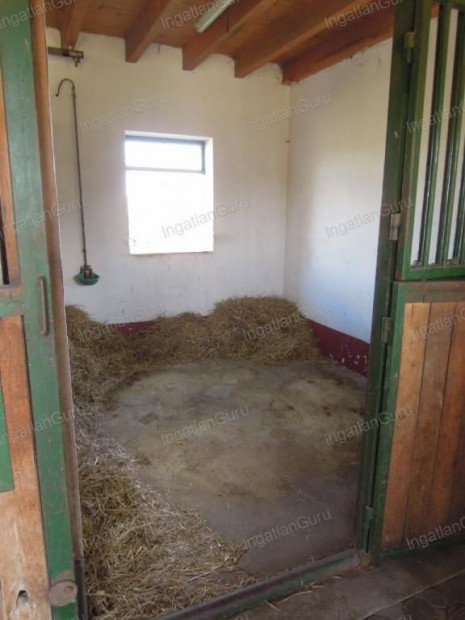 Elad� mez�gazdas�gi ingatlan Lajosmizse