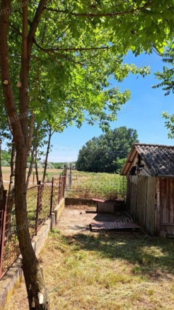 Elad� mez�gazdas�gi ingatlan Lajosmizse, Als�lajos tanya