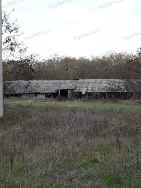 Elad� mez�gazdas�gi ingatlan Lajosmizse, Als�lajos tanya