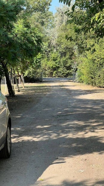 Elad� mez�gazdas�gi ingatlan Szeged k�lter�let�n az aut�p�lya mellett