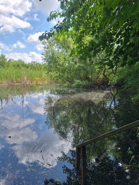 Elad� mez�gazdas�gi ingatlan, T�